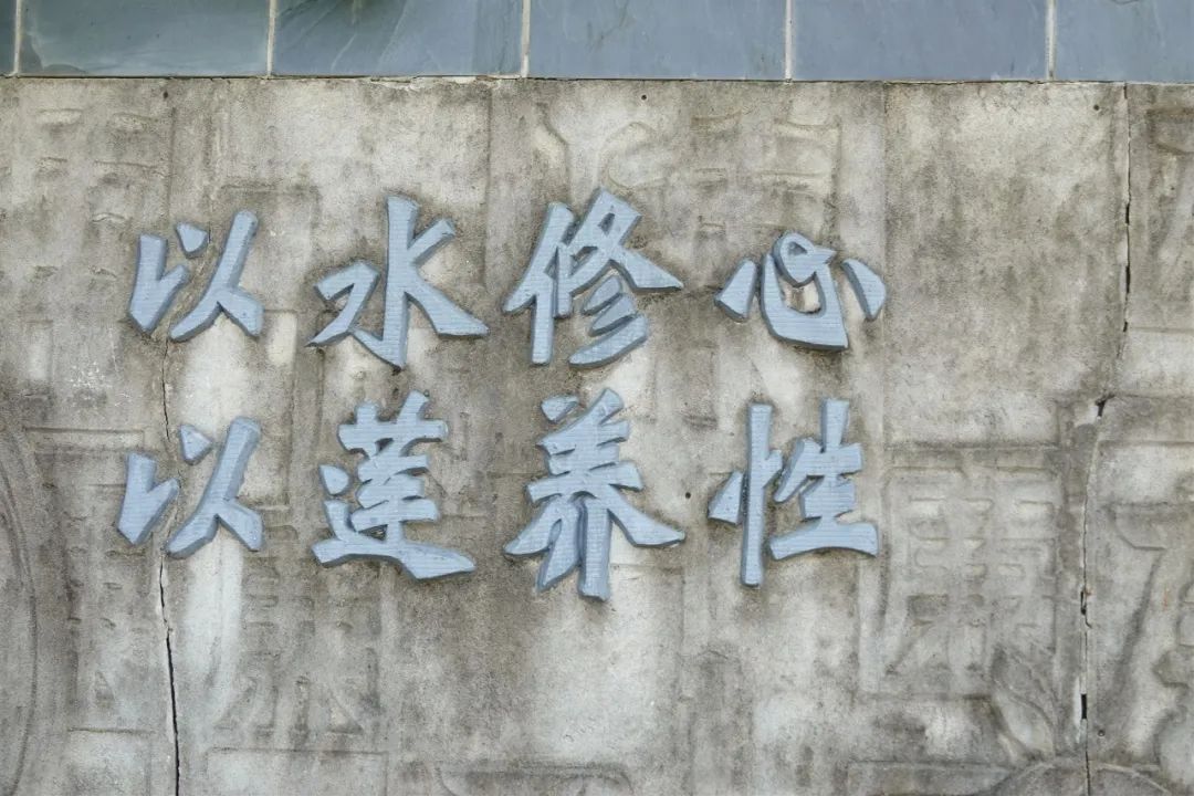 DƬ